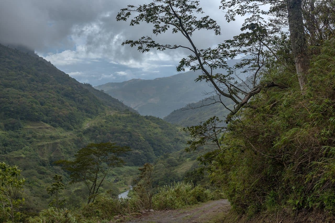 Coffee Farm — Chiriquí (Boquete)